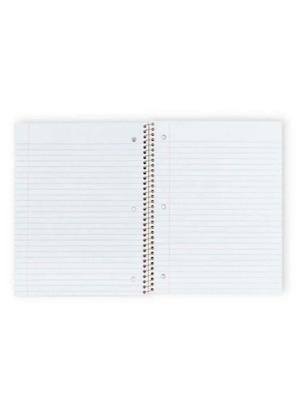 IN-HAND | LoveShackFancy x Target Yoobi Everblooming Rosettes Spiral Notebook